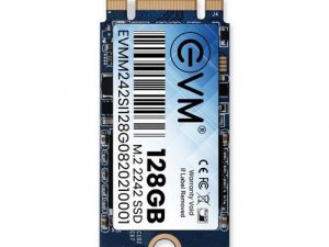 EVM 128GB 2242 M.2 SATA SSD EVMM242/128GB