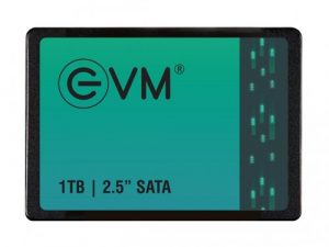 EVM 1TB 2.5 Inch SATA SSD EVM25/1TB