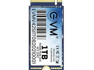 EVM 1TB 2242 NVMe SSD EVMNV42/1TB