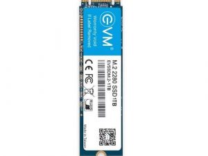 EVM 1TB M.2 SATA SSD EVMM2/1TB