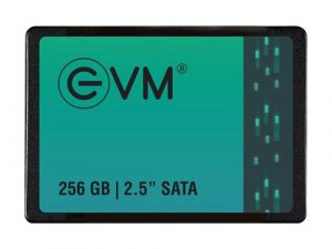EVM 256GB 2.5 Inch SATA SSD EVM25/256GB
