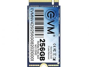 EVM 256GB 2242 NVMe SSD EVMNV42/256GB