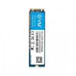 EVM 256GB M.2 SATA SSD EVMM2/256GB