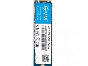 EVM 256GB M.2 SATA SSD EVMM2/256GB