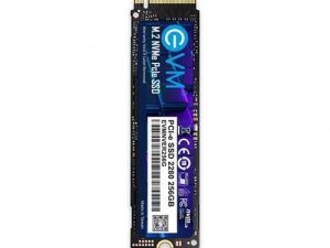 EVM 256GB NVMe SSD EVMNV/256GB
