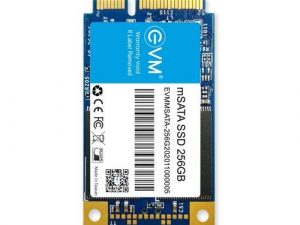EVM 256GB mSATA SSD EVMMS/256GB