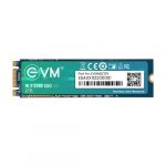 EVM 2TB M.2 SATA SSD EVMM2/2TB