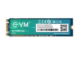 EVM 2TB M.2 SATA SSD EVMM2/2TB