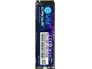 EVM 512GB NVMe SSD EVMNV/512GB