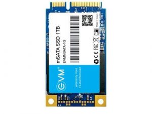 EVM 1TB mSATA SSD EVMMS/1TB